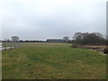 Farmland at Norton Heath Equestrian Centre