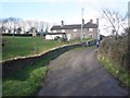 Lane to North Petherton