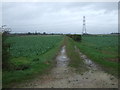 Farm track, Boughton