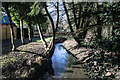 Guilsfield Brook from footbridge