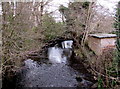 Upstream along Afon Lliw from Pont Lliw in Pontlliw