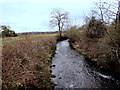 Downstream along Afon Lliw from Pont Lliw in Pontlliw