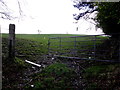 H3296 : An open field, Carricklee by Kenneth  Allen