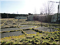 Deserted military camp at Stonebridge