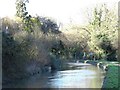 The New River just east of Great Amwell