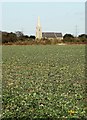 Across the fields to Luddington Church