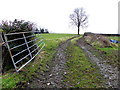 Muddy lane, Cumber