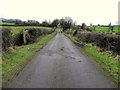H7250 : Glendavagh Road by Kenneth  Allen