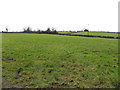 Mullyneill Townland