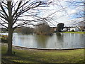 Common Pond, Hailsham