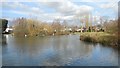 Common Pond, Hailsham