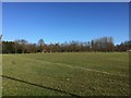 Keele University: sports pitch