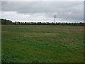 Farmland, South Kyme