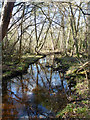 Stream flowing towards Frensham Little Pond