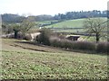 Bridleway near Westerdale farm