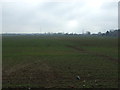 Crop field, Foxholme