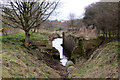 Canal locks