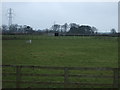 Grazing, Dunswell