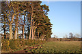 Field near East Mains