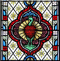 Detail of the peacock window in Fakenham church