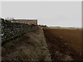 Footpath to Adderstone Mains