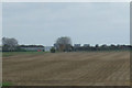 Farmland, North Kyme Fen