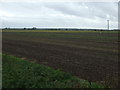 Farmland off Billinghay Dales Head