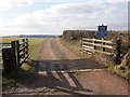 Track to Upcott Farm