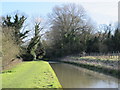 The New River between Lower Road and Amwell Hill, SG12 (2)