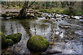 Confluence of the Meavy and Plym