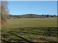 SU8262 : View towards Ambarrow Hill by Alan Hunt
