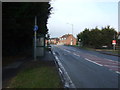 Bus stop on Hull Road (A1174)