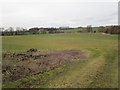 View towards Beesthorpe Hall