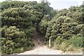 Steps to Steamer Point Nature Reserve