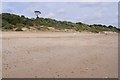 The beach below Highcliffe