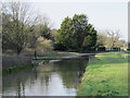 The New River east of Amwell Hill, SG12