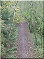 Footpath along the disused railway track