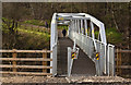 A footbridge in Nob End Nature Reserve