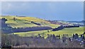 Little Mountain Hill above Newchurch