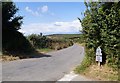 Lane towards Hartland Point