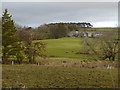 Highfield Farm, Catton