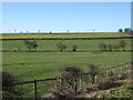 Farmland near New Inn Farm, Ruston Parva