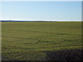 Farmland near Airy Hill Farm