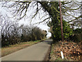 Flordon Road near Gable End