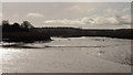 NX4363 : Tidal bore, Cree estuary by David Baird