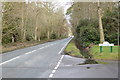 Looking along Wellington Avenue from Abbots Drive