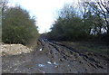 A muddy track (Garton Balk) off the A166