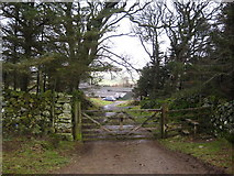 NY3037 : Gate on the track above Fellside by Chris Holifield