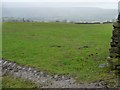 Hillside below Beacon Hill House