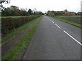 Road through Chapel Hill